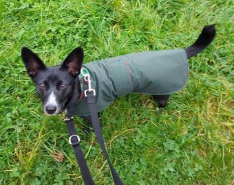 Waxed Cotton Dachshund Dog Coat: Waterproof Winter Pet Apparel