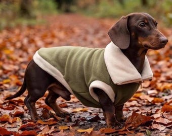 Puede incluir: Un perro salchicha de pelo corto color marrón lleva puesto un abrigo de forro polar verde oliva con cuello y ribetes de borreguillo color crema. El abrigo cuenta con una cremallera frontal y cubre el torso del perro, dejando las patas y la cola libres.