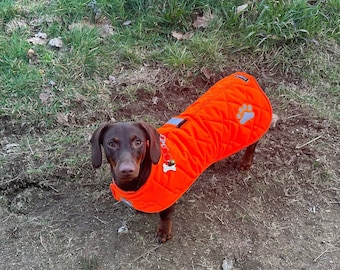 Dachshund Quilted Dog Coat: Waterproof Hi-Vis Winter Pet Apparel