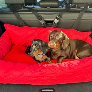 Könnte beinhalten: Zwei Dackel entspannen sich in einem roten gesteppten Hundebett im Kofferraum eines Autos. Das Bett hat eine hohe Rückenlehne und Seiten, um die Hunde zu halten.