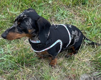 Made-to-Measure Dachshund Harness: Rub-Free Spacer Mesh, Custom Trim