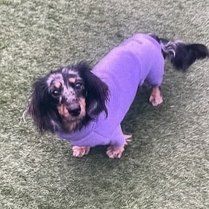 Miniature Dachshund Fleece Onesie: Water Repellent Dog Jumpsuit image 2