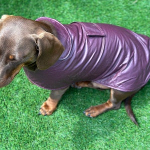 Waterproof Waxed Cotton Dachshund Dog Coat: Fleece Collar
