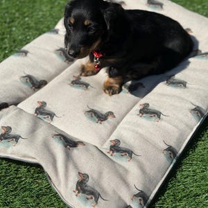 Puede incluir: Un cachorro de perro salchicha negro y canela, con un collar rojo con una campana, está sentado en una cama rectangular para perros. La cama es beige con un patrón repetido de ilustraciones de perros salchicha. La cama está sobre una superficie de hierba verde.