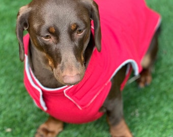 Waterproof Softshell Dachshund Coat: Fleece Lined, Windproof