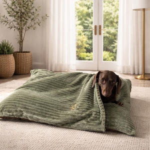 Jumbo cord dachshund snuggle bed ,foam filled Dog Bed Cave: Personalised Snuggle bed cave