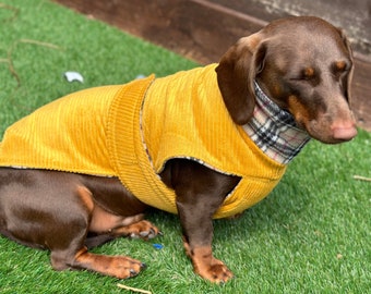 Corduroy Dachshund Coat: Fleece Lined Dog Jacket