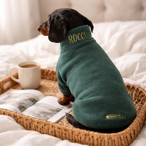 May include: A dachshund wearing a dark green fleece dog sweater with the name "ROCCO" embroidered in gold. The dog is sitting on a woven tray with a cup of coffee and an open book. The sweater has a small label that says "Cornish K9".