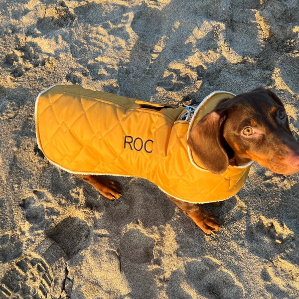 Dachshund Quilted dog coat, waterproof dog coat, shower proof dog coat ,winter dog coat , pet accessories, dog jacket