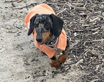 Corduroy Dachshund Coat: Fleece Lined Dog Jacket with Harness Hole