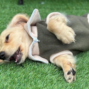Dachshund neck zipped  fleece ,dog jumper,dachshund jumper , dachshund fleece,dachshund  jacket