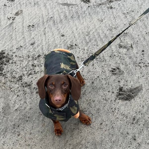 Dachshund waterproof dog coat, shower proof dog coat ,winter dog coat , pet accessories, dog jacket