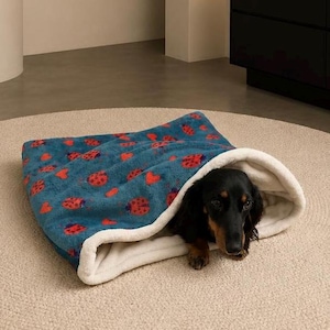 Könnte beinhalten: Ein plüschiger Tierschlafsack mit einer blaugrünen Außenseite, die mit einem wiederkehrenden Muster aus roten Marienkäfern und kleinen roten Herzen bedruckt ist. Das Innere ist mit weichem, cremefarbenem Fleece gefüttert, in dem ein Dackel liegt.