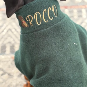 May include: A dark green fleece dog sweater with the name "POCCO" embroidered on the collar in gold thread.