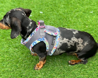 Dachshund  harness ,dog harness ,dachshund dog vest ,step in  harness,breathable harness