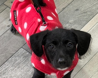 Double Layered Fleece Dog Coat: Red Polka Dot, Water Repellent