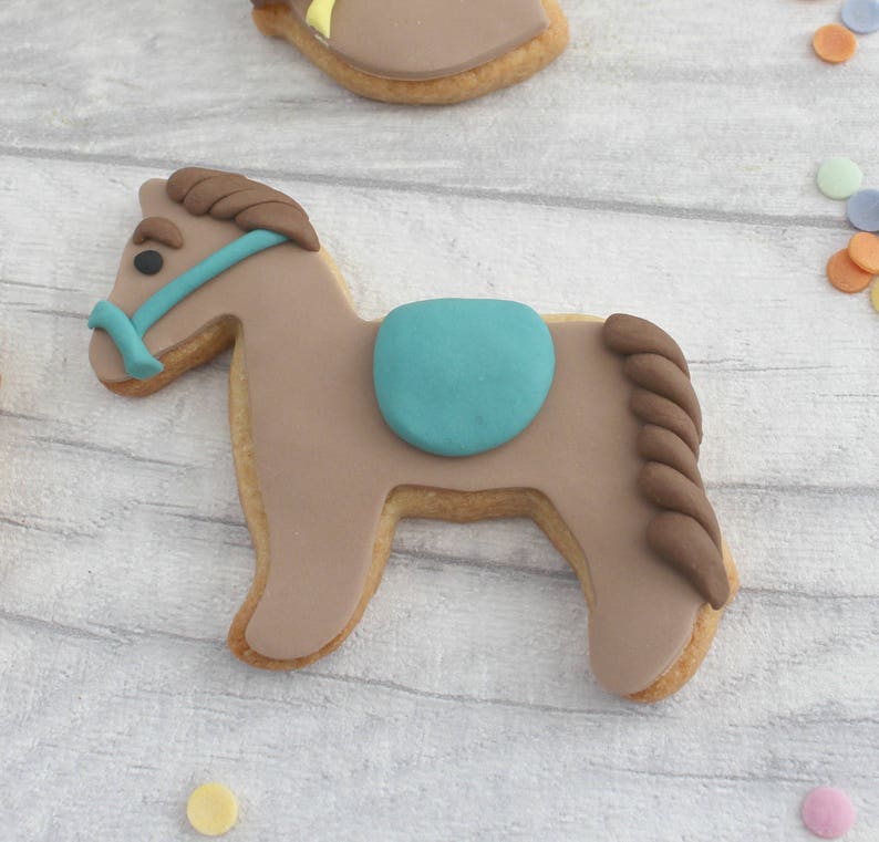 Horse themed birthday gift horse cookie party favours Etsy