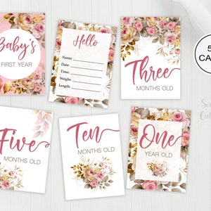 Cartes d’étape florales, étape de fille, cadeau de bébé, cadeau de bébé de Noël, cartes de suivi de bébé, cartes d’étape mensuelles, première année de bébé