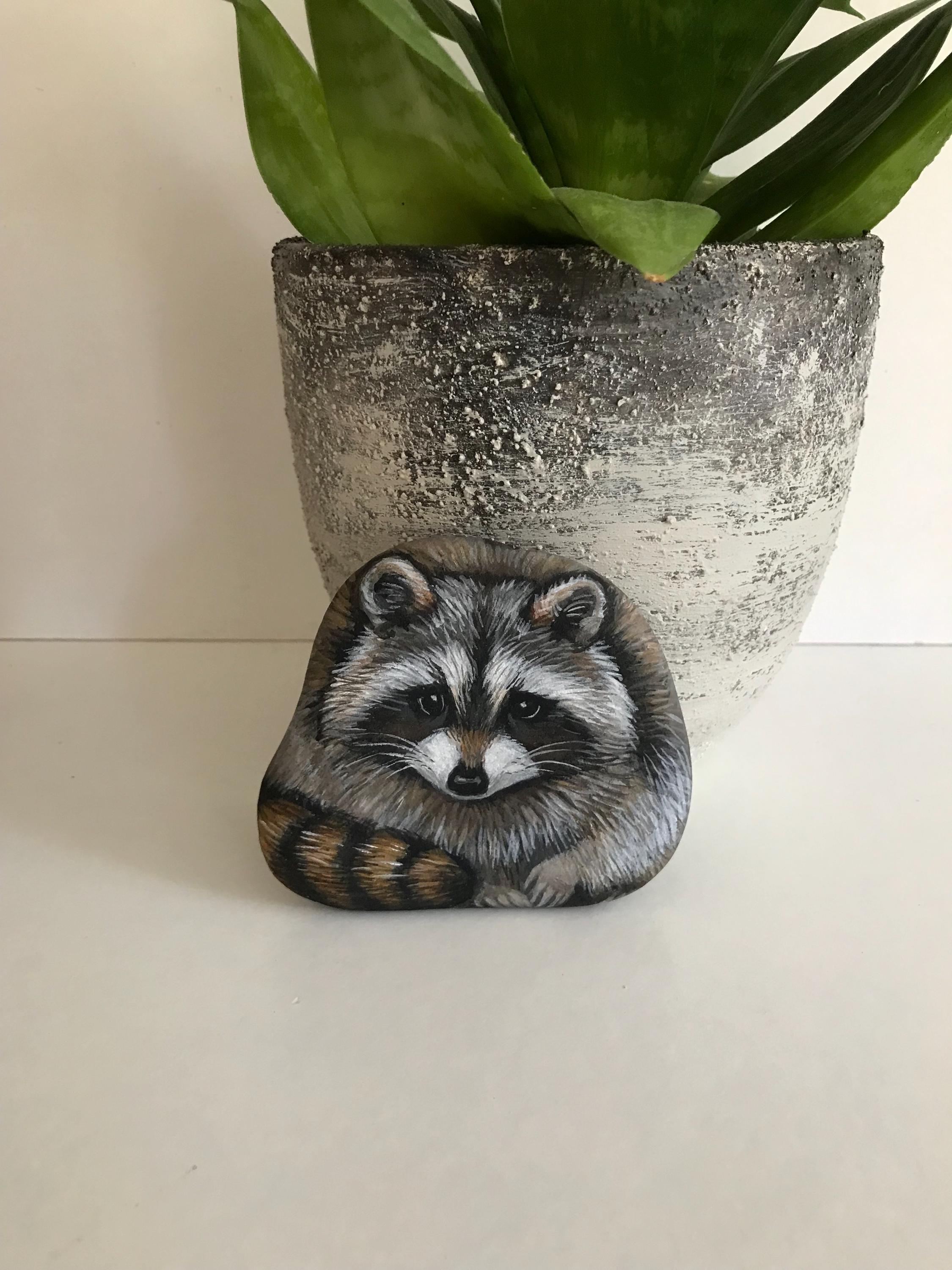 Hand-painted Raccoon Rock Art: Realistic Animal Portrait on Stone - Etsy