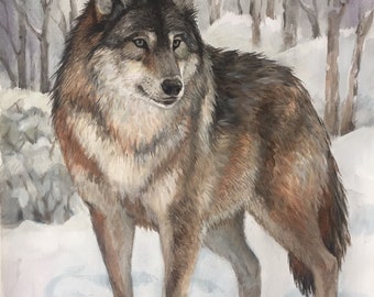 Wolf Portrait - Original Acrylic Wolf Painting - Original Painting