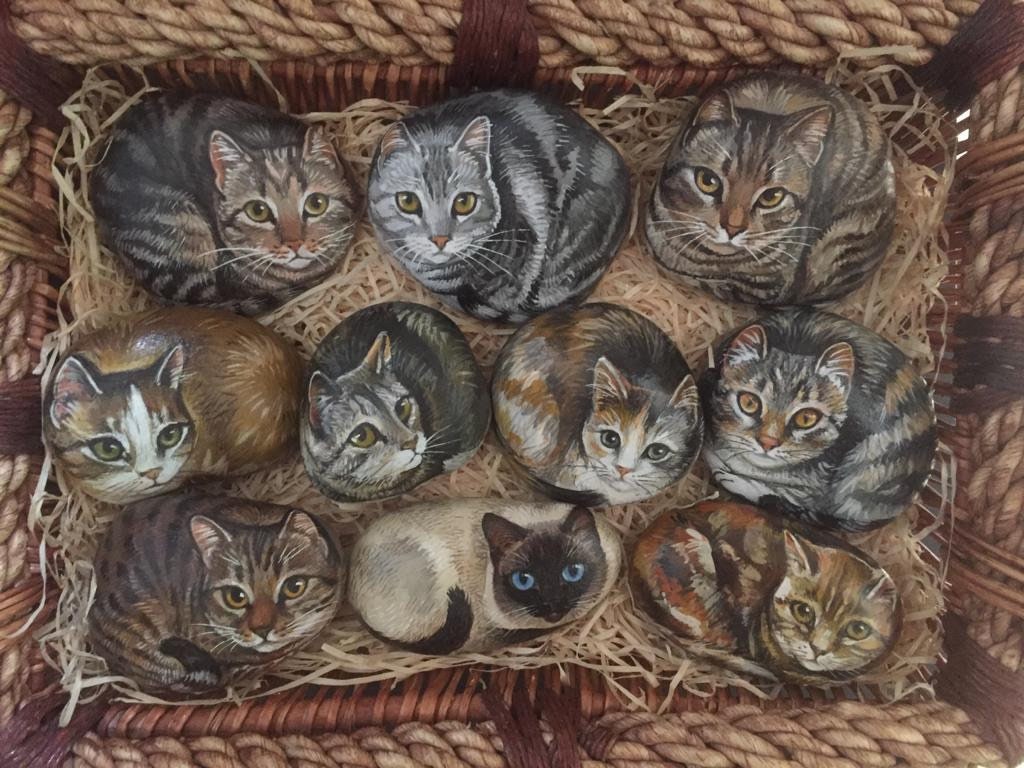 Cat collects rocks sales