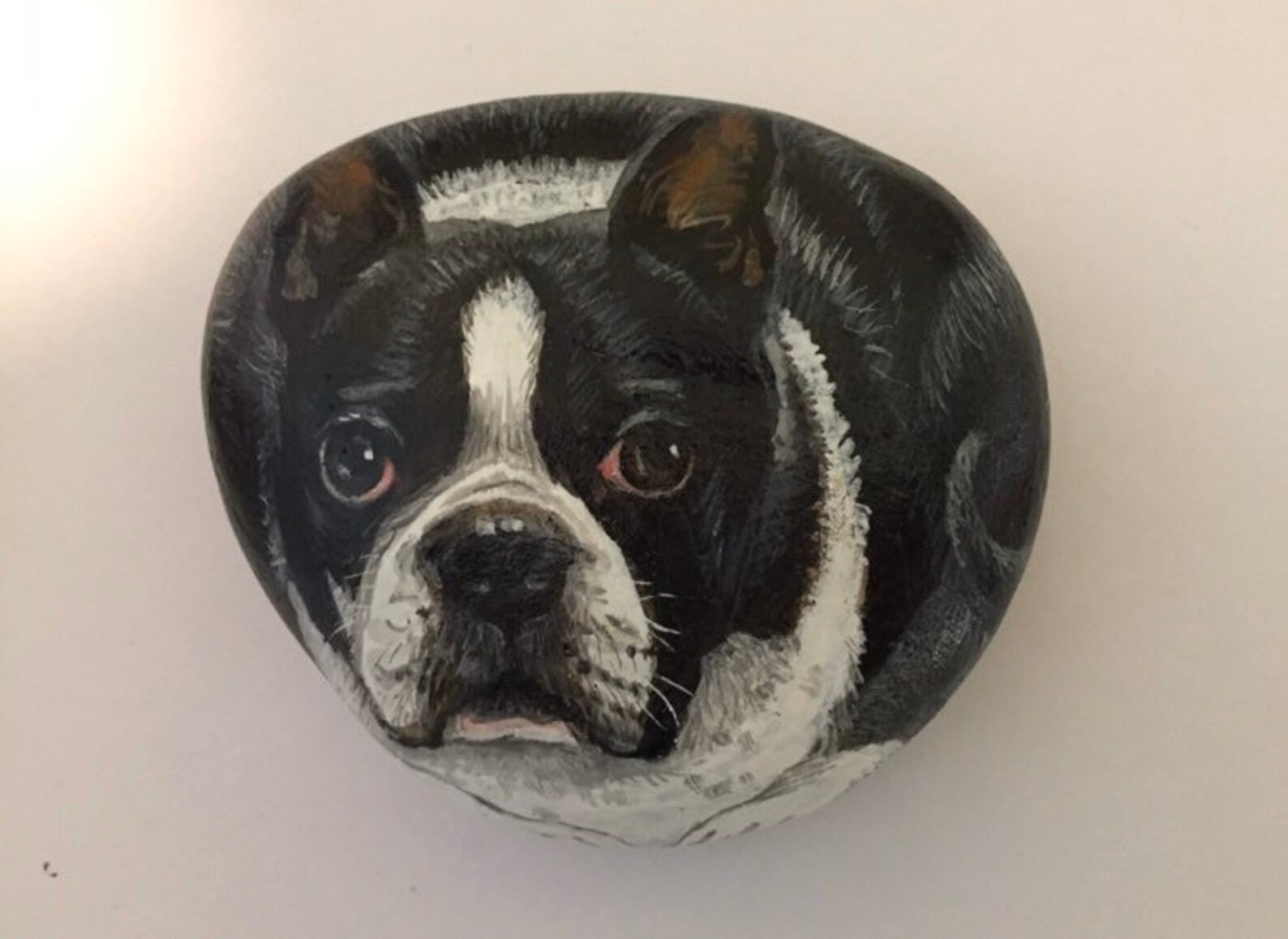Custom Bull Dog Rocks Bull Dog Painting Rock Art Acrylic Etsy