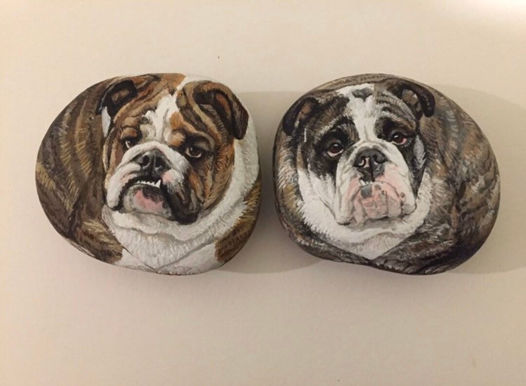 Custom Bull Dog Rocks Bull Dog Painting Rock Art Acrylic Etsy