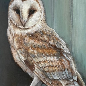 Owl Painting Barn Owl Portrait Acrylic Painting Original Painting 14x18 Option #2