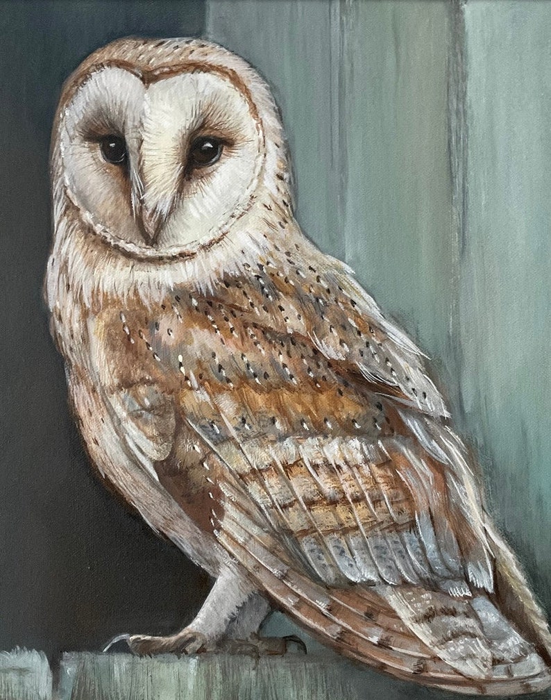 Owl Painting Barn Owl Portrait Acrylic Painting Original Painting 14x18 Option #2