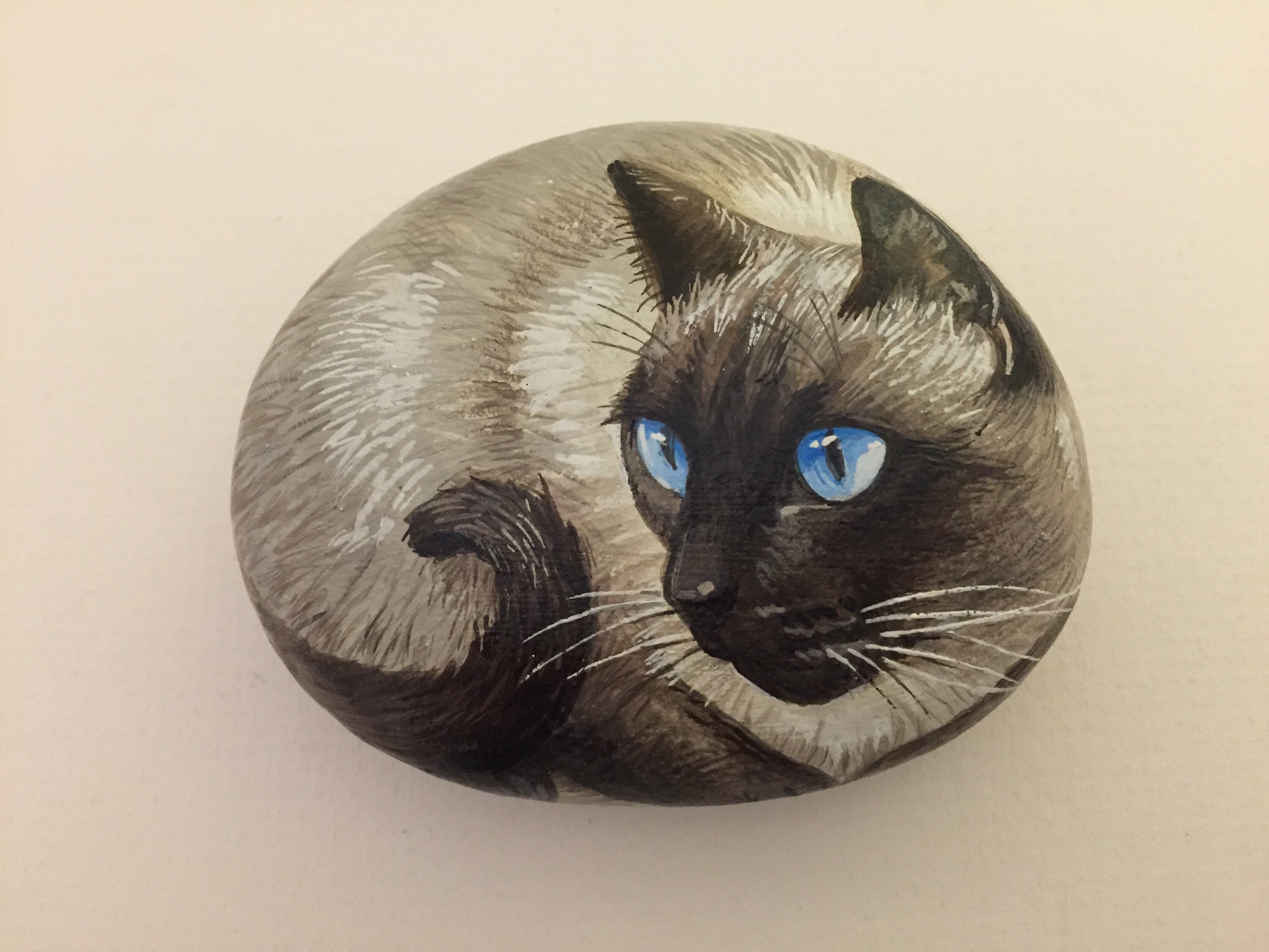 Cat Rocks Cats Painted on Rocks Siamese Cats Rock Art | Etsy