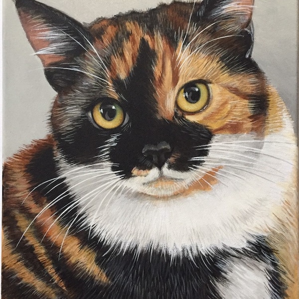 Custom Pet Portraits - Personalised Cat Portraits - Pet Memorial - Custom Painting - Original Painting