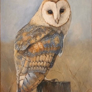 Owl Painting Barn Owl Portrait Acrylic Painting Original Painting 14x18 Option #1