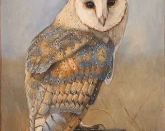 Owl Painting - Barn Owl Portrait - Acrylic Painting - Original Painting - 14x18”