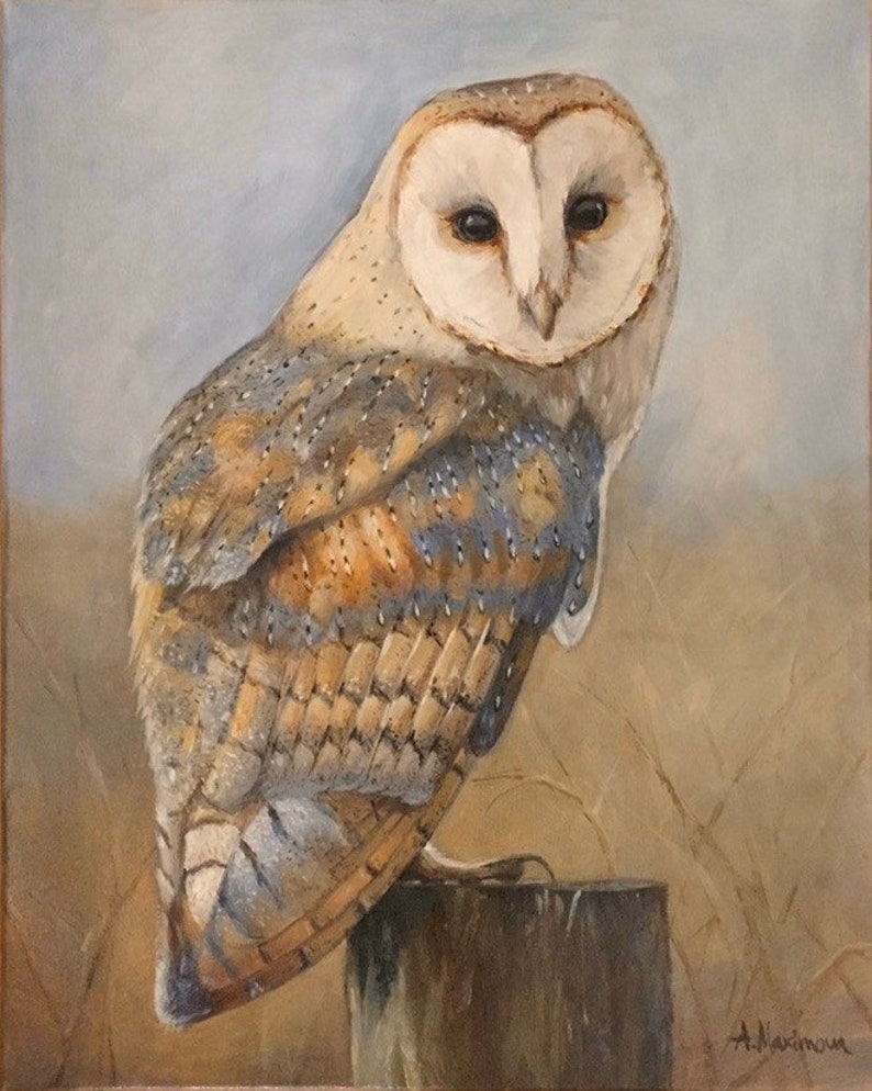 Owl Painting Barn Owl Portrait Acrylic Painting Original Painting 14x18 Option #1