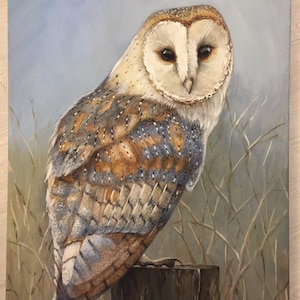 Owl Painting Barn Owl Portrait Acrylic Painting Original Painting 14x18 image 4