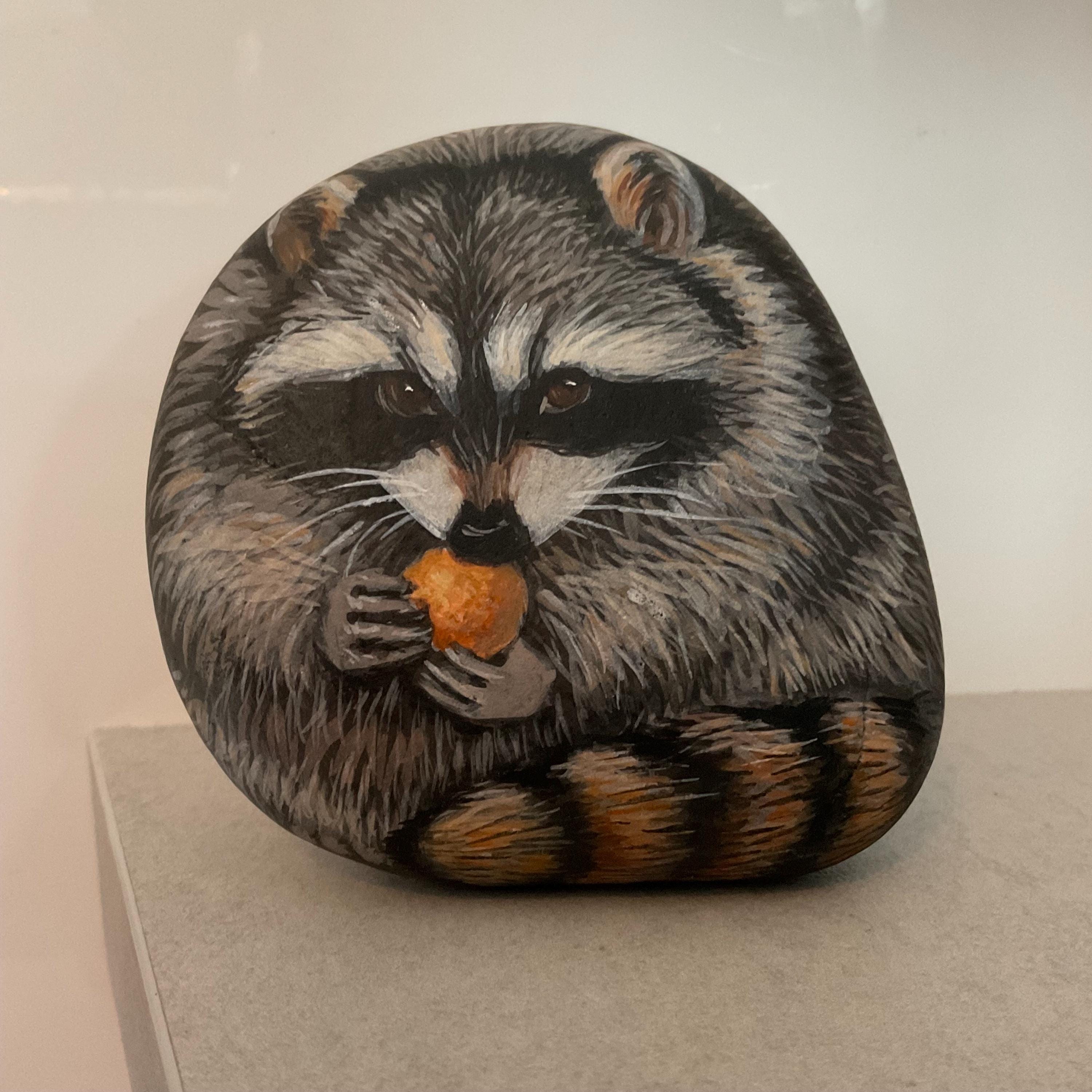 Red Rocks Raccoon Hand-painted Raccoon Rock Art: Realistic Animal Portrait on Stone - Etsy