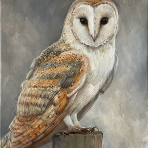 Owl Painting Barn Owl Portrait Acrylic Painting Original Painting 14x18 Option #3