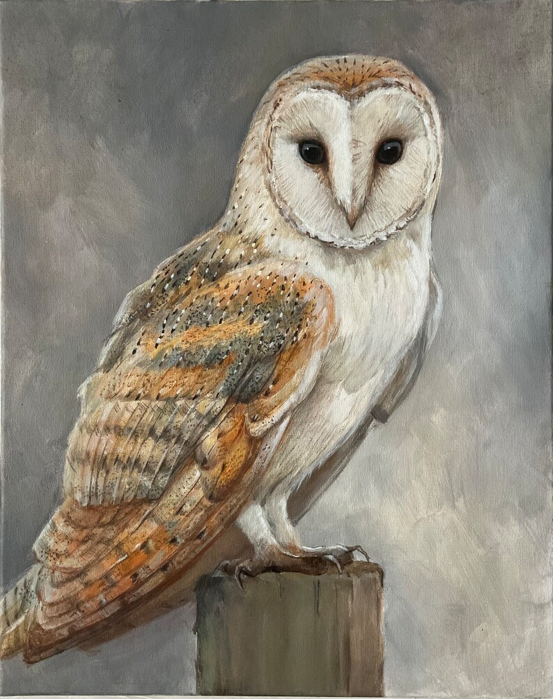 Owl Painting Barn Owl Portrait Acrylic Painting Original Painting 14x18 Option #3