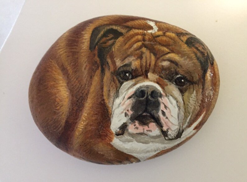 Custom Bull Dog Rocks Bull Dog Painting Rock Art Acrylic Etsy