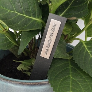 Teacher Thank You Plant Marker Slate Plant Label Gift Tag by Little Jenny Wren