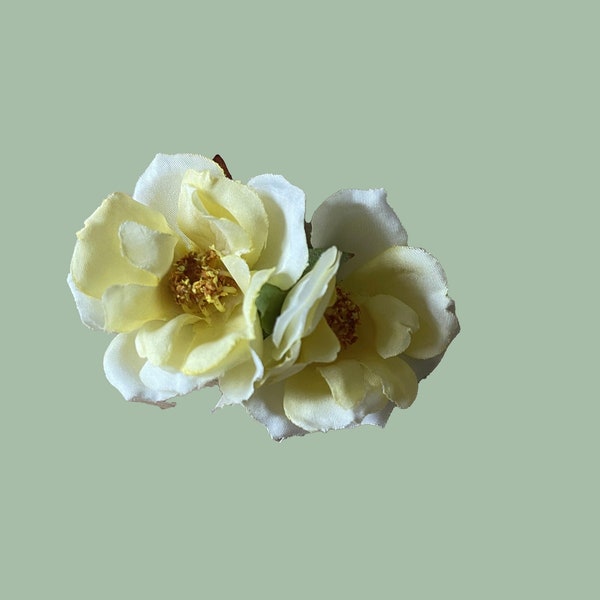 Pale yellow wild/dog roses. Small clip.
