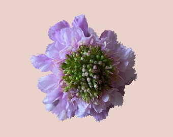 Pale mauve/pink silk flower accessory, Scabiosa (larger size)