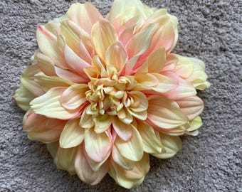 Pale yellow and pink Dahlia ( large)