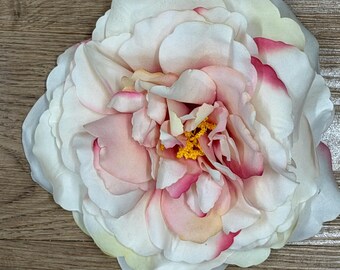 Cinderella Rose ( large)