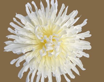 Ivory Chrysanthemum (smaller size)