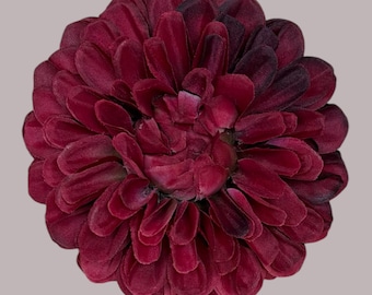 Deep Red, Burgundy Pom Pom Dahlia