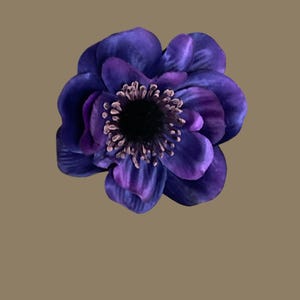 May include: A close-up of a deep purple anemone flower with a dark centre and textured petals. The flower has a layered appearance, with varying shades of purple and a detailed centre.