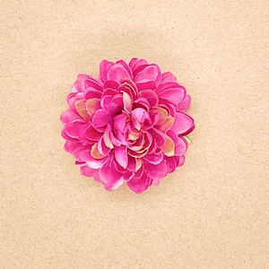 Small mauve/purple single Dahlia