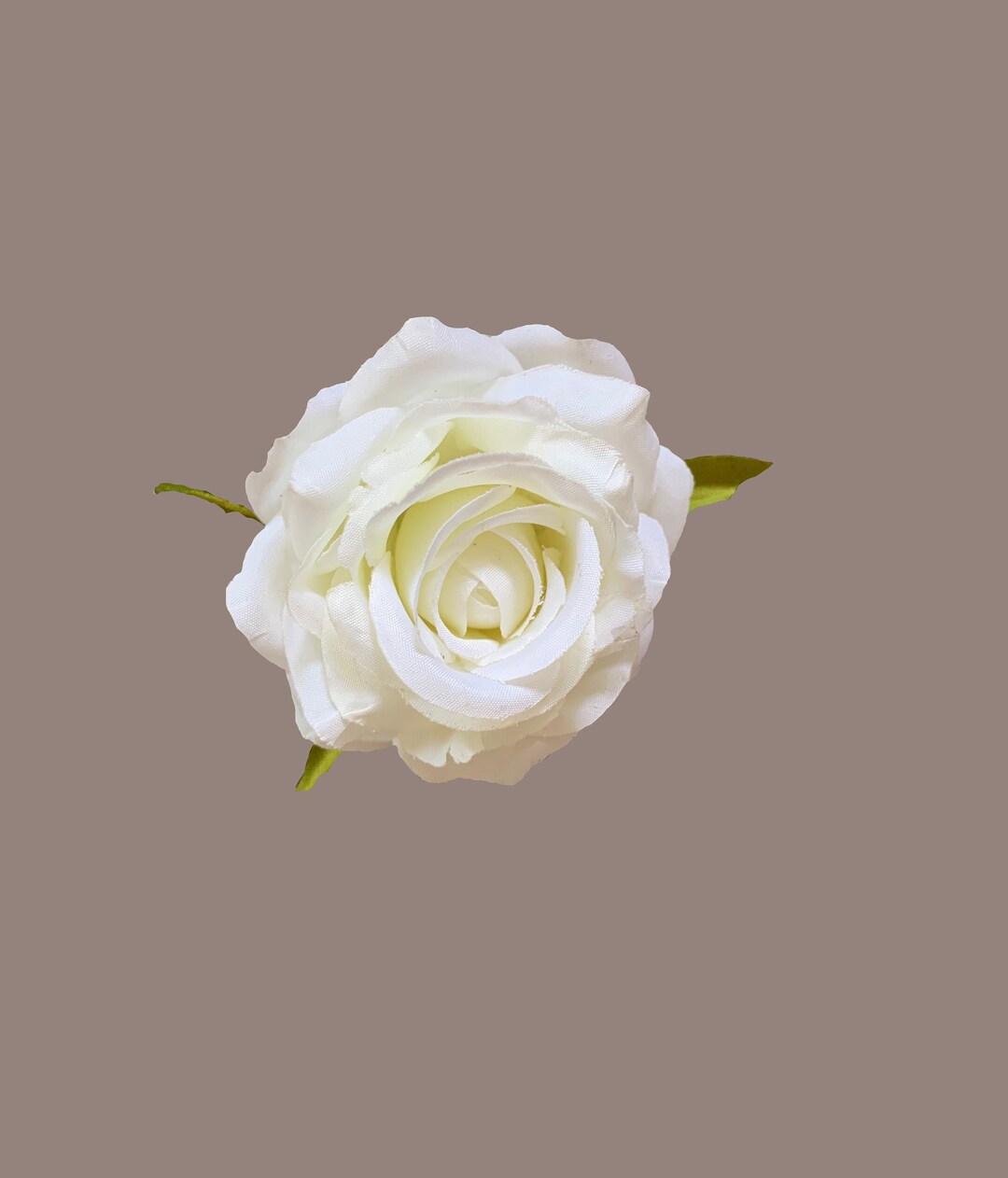 White Silk, Small Garden Rose - Etsy