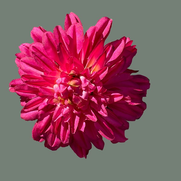 Fuchsia - deep pink hair clip/corsage